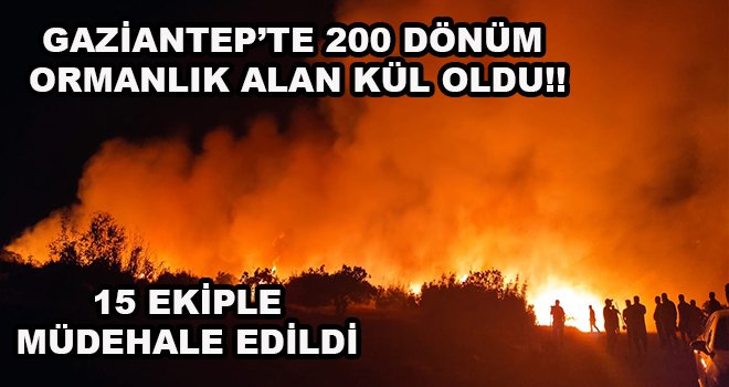 Gaziantep'te korkutan orman yangını: 15 ekiple müdahale edildi