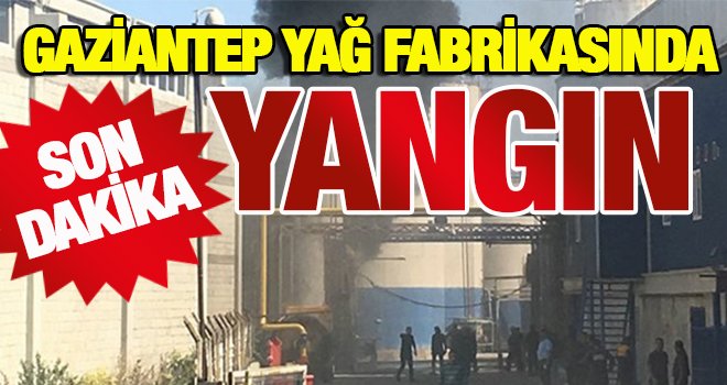 Gaziantep'te korkutan yangın!..