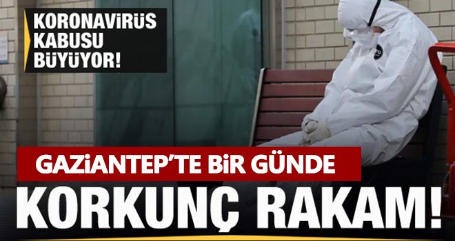Gaziantep'te korkutucu rakamlar! Kabus büyüyor