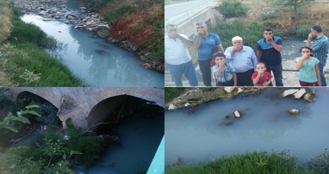 Gaziantep'te köylüler isyanda: Bu katliama kim dur diyecek?