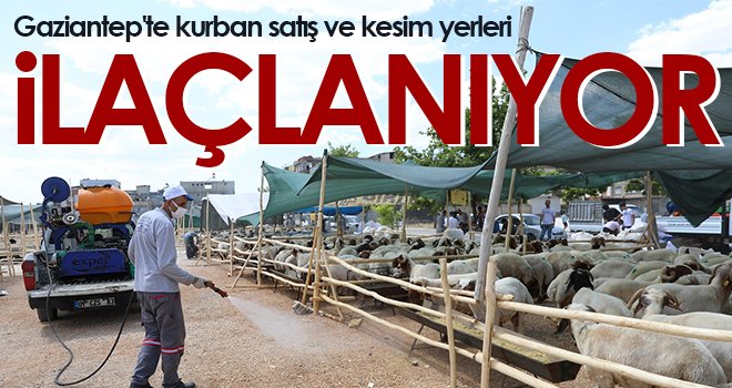 Gaziantep'te kurban satış ve kesim yerleri ilaçlanıyor