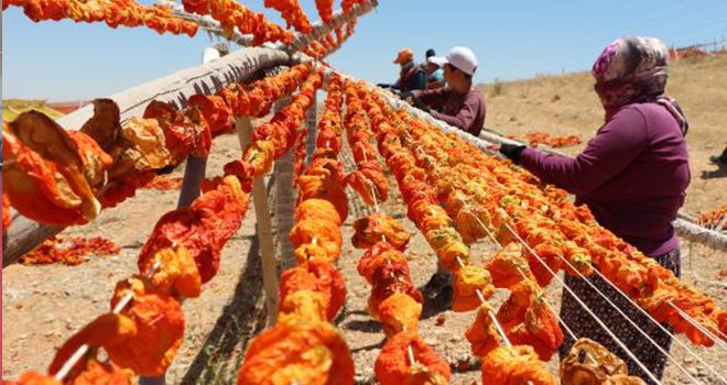 Gaziantep'te, 'kurutmalık' sezonu başladı