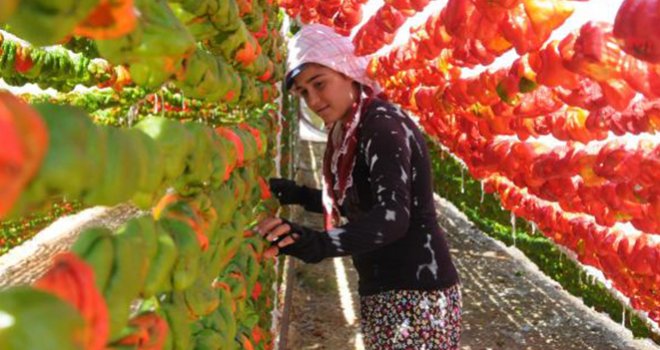 Gaziantep'te kurutmalık zamanı