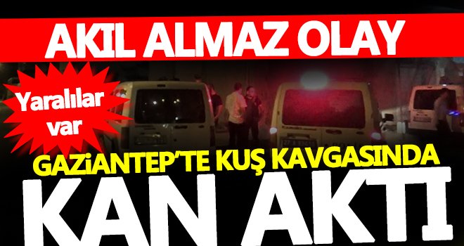 Gaziantep'te kuş uçurtma kavgası kanlı bitti!
