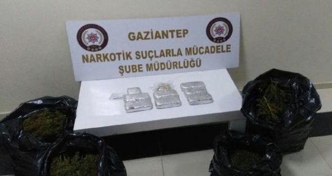 Gaziantep'te Narkotik köpeği 'Bady, uyuşturucu buldu