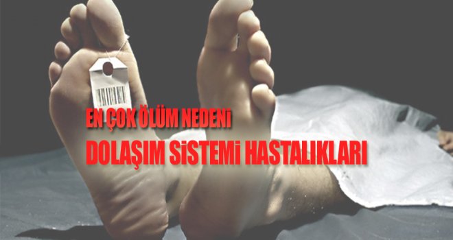 Gaziantep'te ölümlere ilk sebep dolaşım sistemi hastalıkları