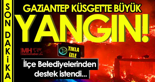 Gaziantep'te mobilya fabrikasında yangın