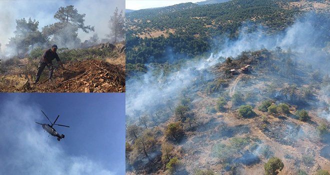 Gaziantep'te orman yangını korkuttu