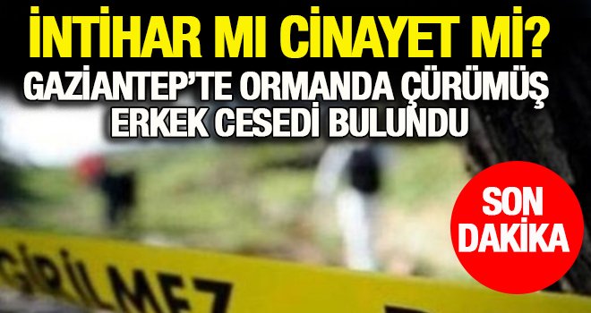 Gaziantep'te ormanlık alanda erkek cesedi bulundu