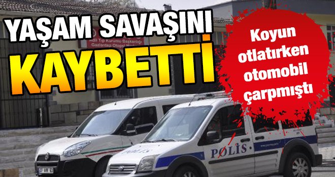 Gaziantep'te otomobilin çarptığı şahız öldü!..