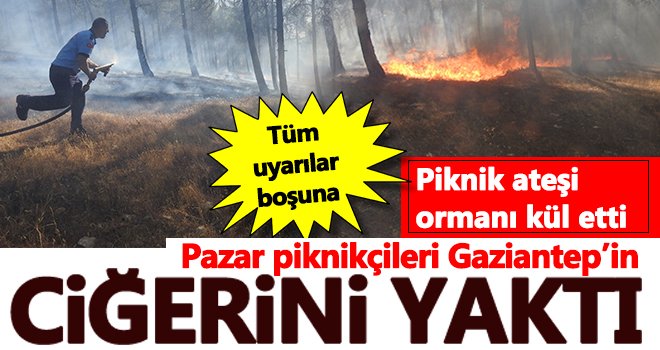 Gaziantep'te piknik ateşi 1 hektarlık alanı kül etti...