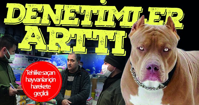 Gaziantep’te pitbull saldırısı sonrası pet shop denetimleri arttı