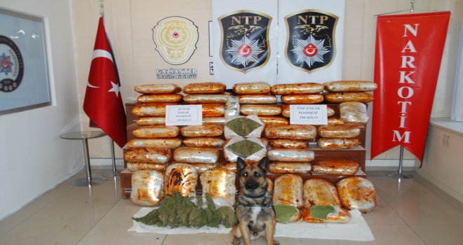 Gaziantep’te Polisin detektör köpeğinden büyük darbe