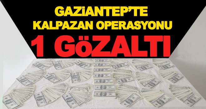 Gaziantep'te sahte dolar baskını: Çok sayıda dolara el konuldu
