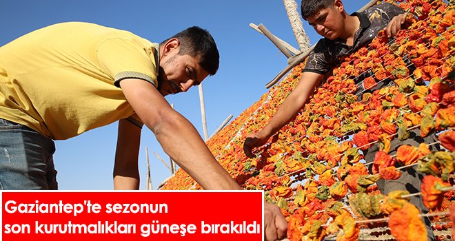 Gaziantep'te sezonun son kurutmalıkları güneşe bırakıldı