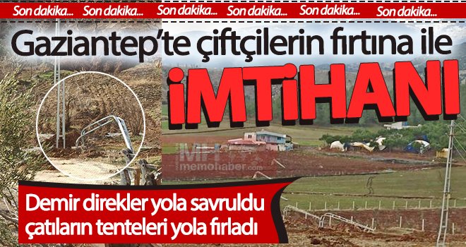 Gaziantep'te şiddetli fırtına ağaçları devirdi