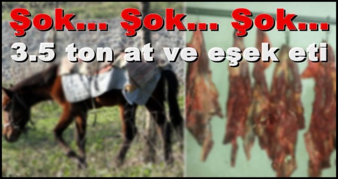 Gaziantep'te şok olay! 3.5 ton at ve eşek eti yakalandı