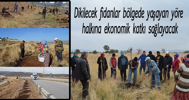 Gaziantep'te sonbahar sezonu için fidan dikimi