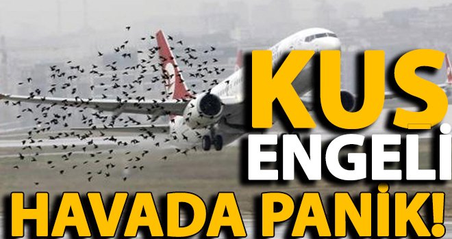 Gaziantep'te uçakların iniş ve kalkışlarına kuş engeli