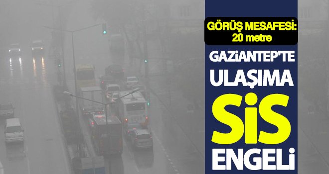 Gaziantep'te ulaşıma sis engeli! Vatandaş zor anlar yaşadı
