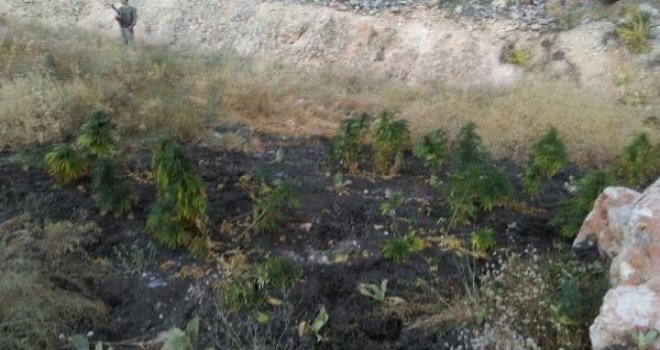 Gaziantep'te uyuşturucu operasyonu: 3 gözaltı