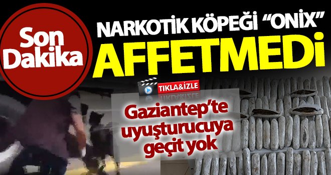 Gaziantep'te uyuşturucu satıcılarına büyük operasyon!