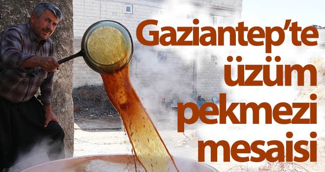 Gaziantep’te üzüm pekmezi mesaisi