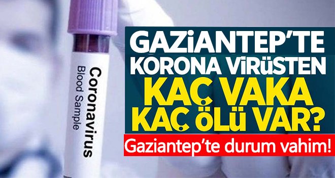 Gaziantep'te vaka ve vefat sayıları artmaya devam ediyor