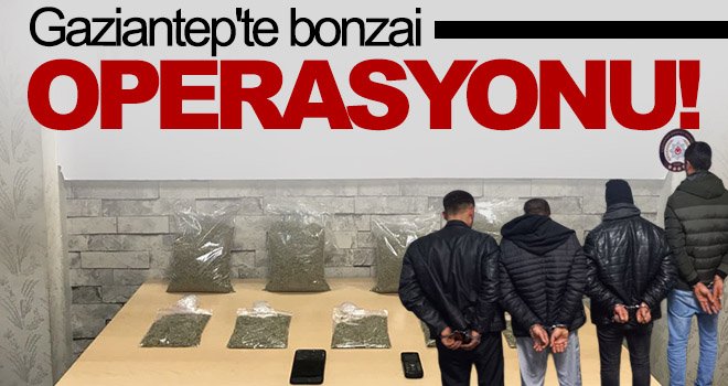 Gaziantep'te yaklaşık 2 kilo bonzai ele geçirildi