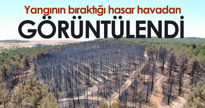 Gaziantep'te yanan ormanlık alan havadan görüntülendi