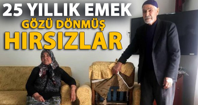 Gaziantep'te yaşlı çiftin 25 yıllık emekleri çalındı!