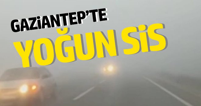 Gaziantep’te yoğun sis etkili oldu
