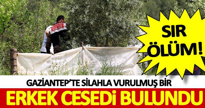Gaziantep'te zeytin bahçesinde ceset bulundu 