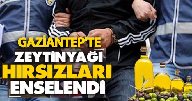 Gaziantep'te zeytinyağı hırsızlığına 1 tutuklama