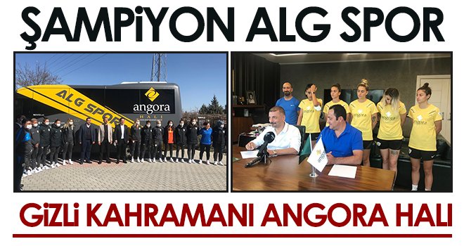 Gizli kahramanı Angora Halı