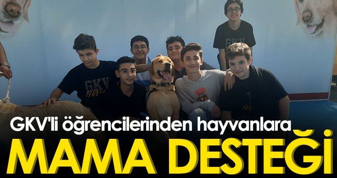GKV'li öğrencilerinden hayvanlara mama desteği
