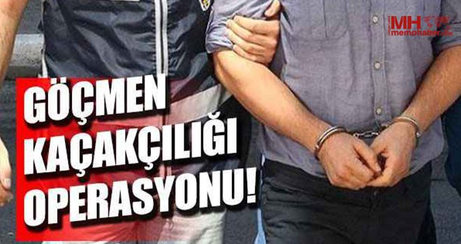 Göçmen kaçakçılığı operasyonu! 