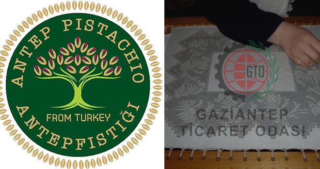 GTO, Antep fıstığını uluslararası platforma taşıyacak 