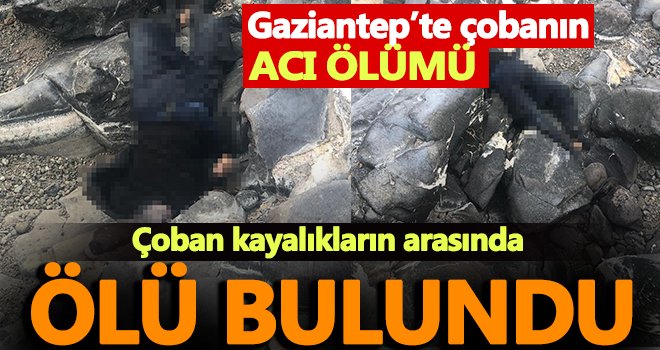 Haber alınamayan çoban kayalıkların arasında ölü bulundu