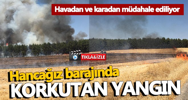 Hancağız barajında büyük yangın! 5 hektarlık alan kül oldu
