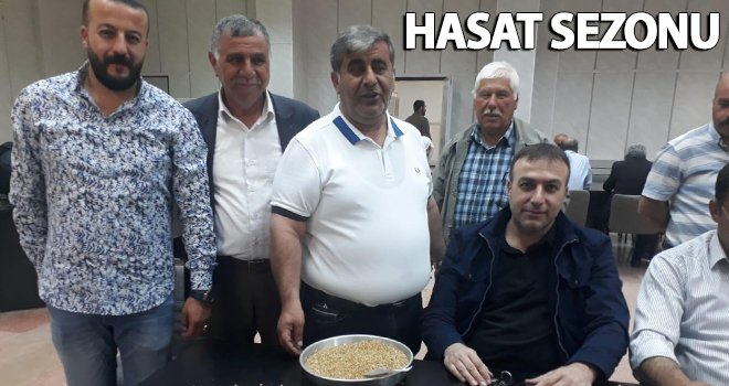 Hasat sezonun ilk buğdayı GTB'de işlem gördü