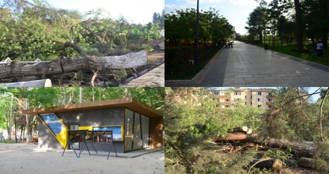 Havamıza, suyumuza, toprağımıza dokunmayın!