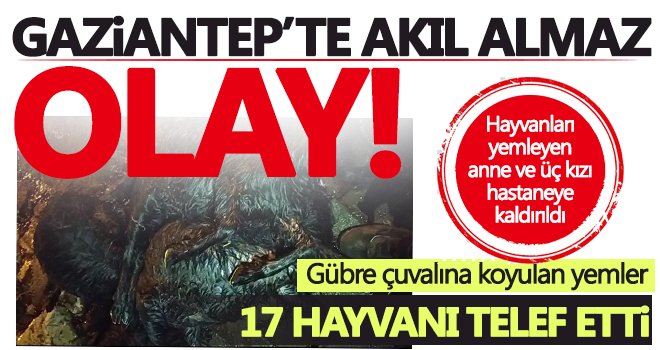 Hayvanları yemleyen anne ve üç kızı hastaneye kaldırıldı