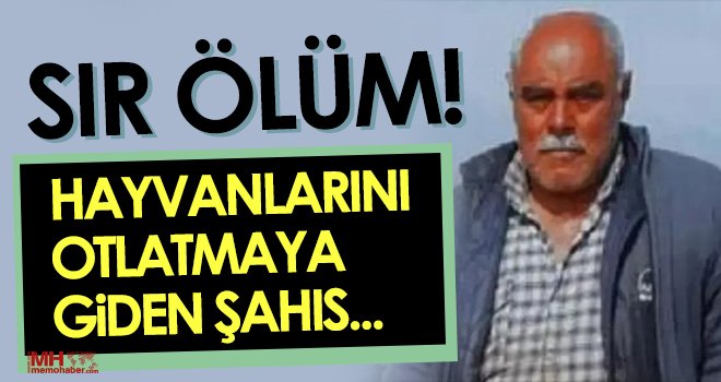 Hayvanlarını otlatmaya giden şahıs ölü bulundu
