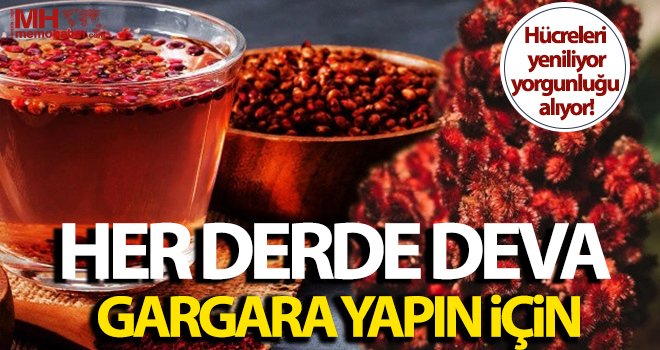 Her derde deva sumağın faydaları saymakla bitmiyor!