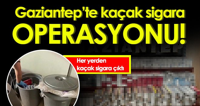 Her yerden kaçak sigara çıktı