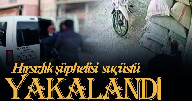 Hırsızlık şüphelisi suçüstü yakalandı