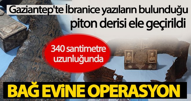 İbranice yazılar olan 340 santimetre piton derisi ele geçirildi