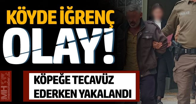 İğrenç olay! Köpeğe tecavüz ederken yakalandı