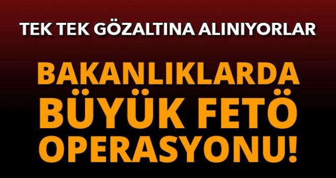 İki Bakanlıkta FETÖ operasyonu: 142 gözaltı